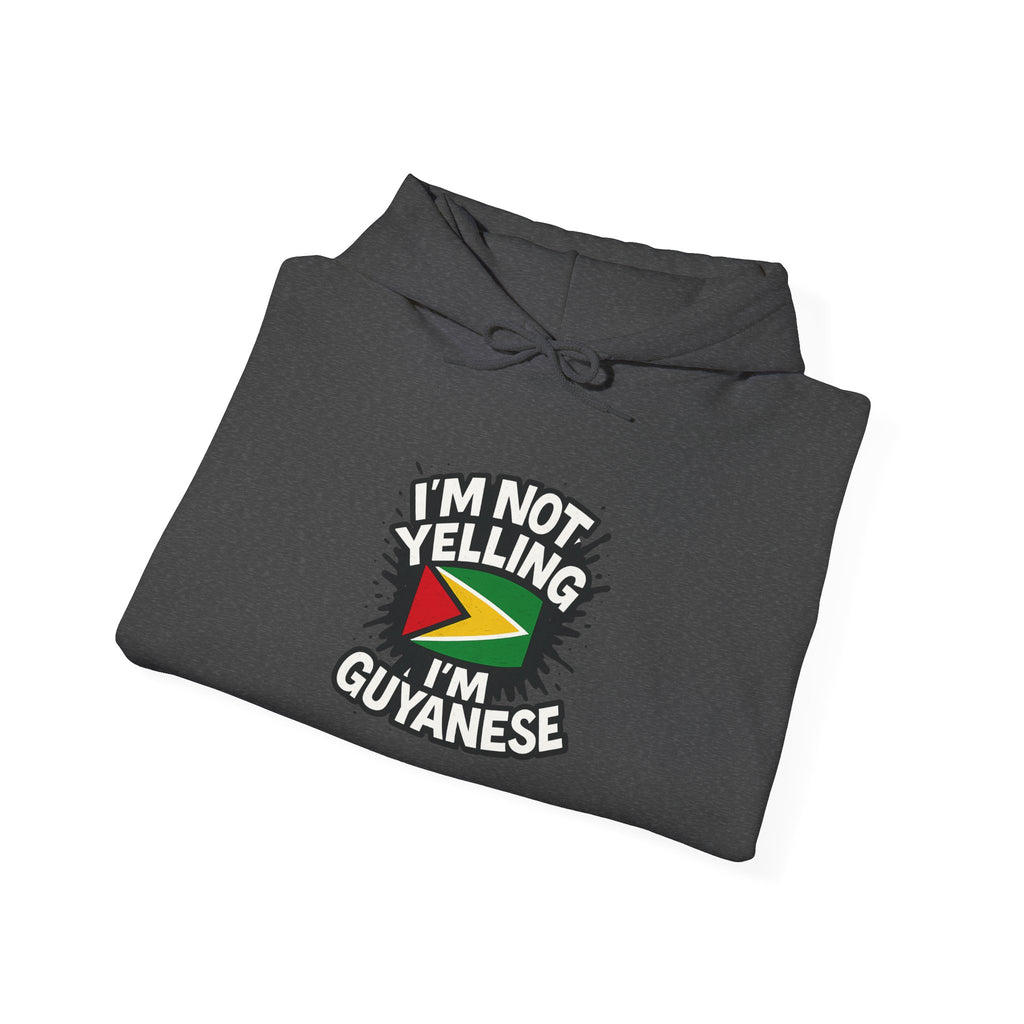 I'm Not Yelling I'm Guyanese Hoodie