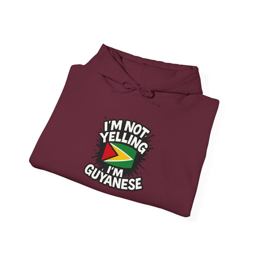 I'm Not Yelling I'm Guyanese Hoodie